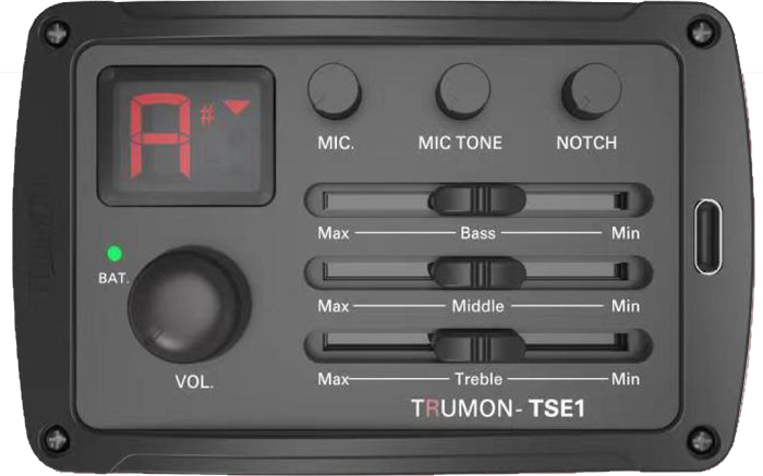 TSE-1.png